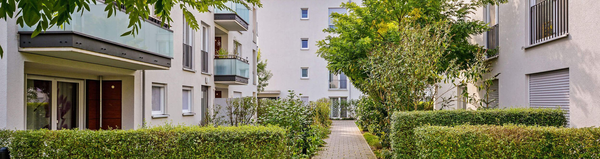 Immobilienmakler Leipzig Umgebung Pisa Immobilien
