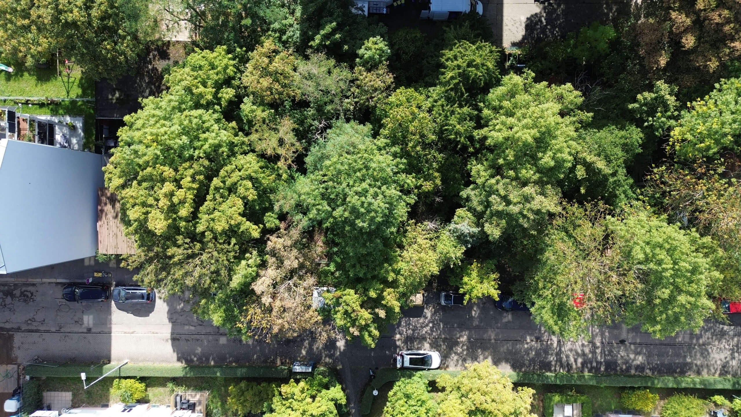 kulkwitzer_strasse-eigentumswohnung_leipzig-luftaufnahme_5