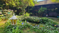 Garten_Teich mit Pavillon - I Familien- und Mehrgenerationenhaus mit Traumgarten | Ruhe und Natur | Garage vorhanden I