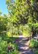 Garten - I Familien- und Mehrgenerationenhaus mit Traumgarten | Ruhe und Natur | Garage vorhanden I