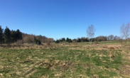 1 - IHR traumhaftes Baugrundstück im Gardna Park an der polnischen Ostsee!