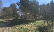 2 - IHR traumhaftes Baugrundstück im Gardna Park an der polnischen Ostsee!