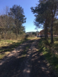 3 - IHR traumhaftes Baugrundstück im Gardna Park an der polnischen Ostsee!