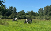 6 - IHR traumhaftes Baugrundstück im Gardna Park an der polnischen Ostsee!