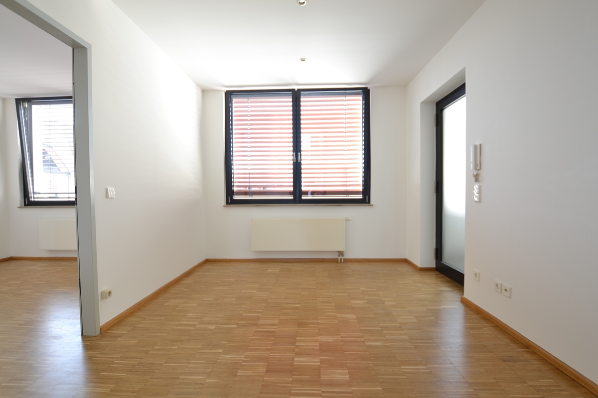 I spektakuläre Galeriewohnung im Zentrum I 2 Ebenen I Parkett I 2 Terrassen I - Foto 3