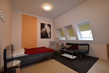 +++ iQ Apartments – Microliving in Leipzig – Smartes Wohnen in Zentrumsnähe +++, 04317 Leipzig, Dachgeschosswohnung